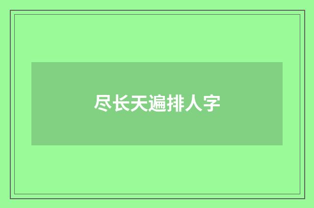 尽长天遍排人字