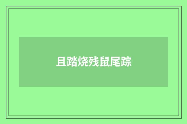 且踏烧残鼠尾踪