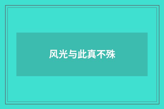 风光与此真不殊