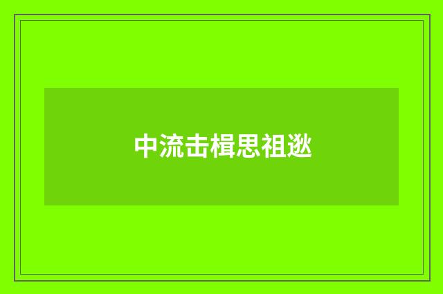 中流击楫思祖逖