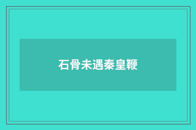 石骨未遇秦皇鞭