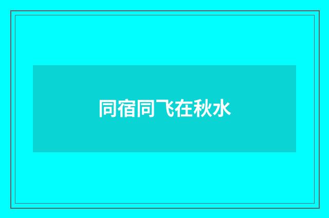同宿同飞在秋水