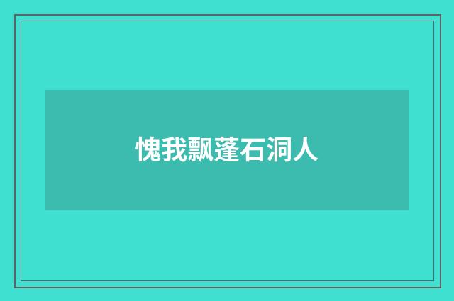 愧我飘蓬石洞人