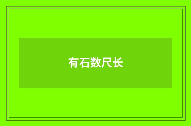 有石数尺长