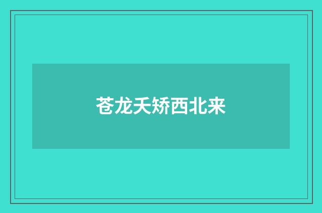 苍龙夭矫西北来