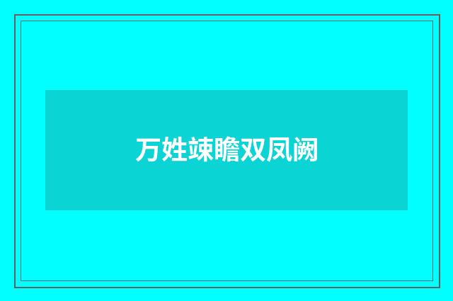 万姓竦瞻双凤阙