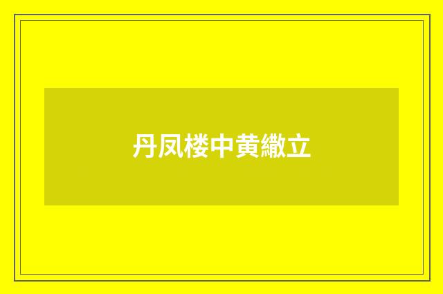 丹凤楼中黄繖立