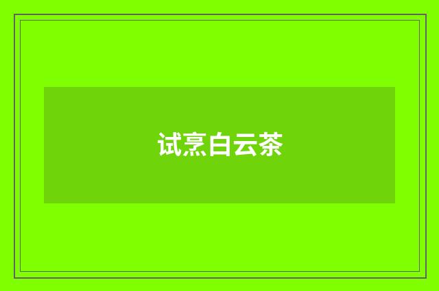 试烹白云茶