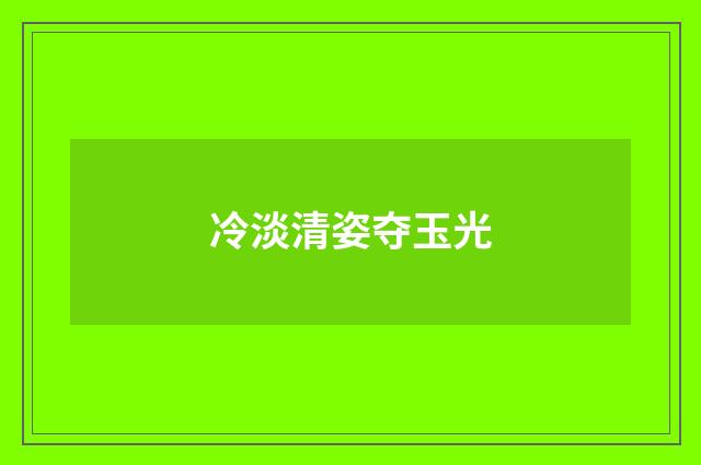 冷淡清姿夺玉光