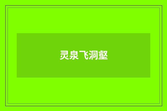 灵泉飞洞壑