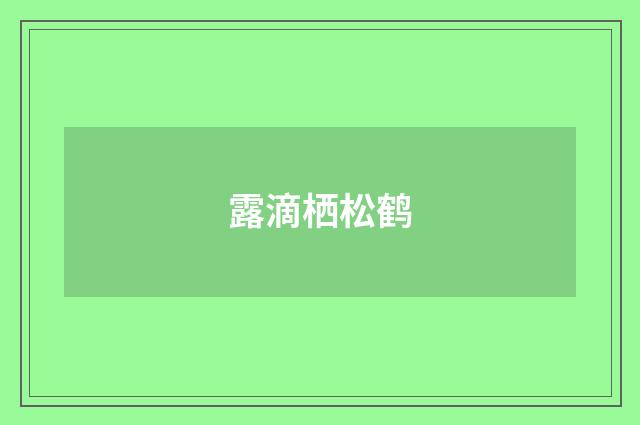 露滴栖松鹤