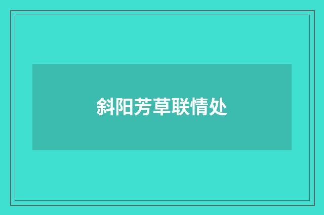 斜阳芳草联情处