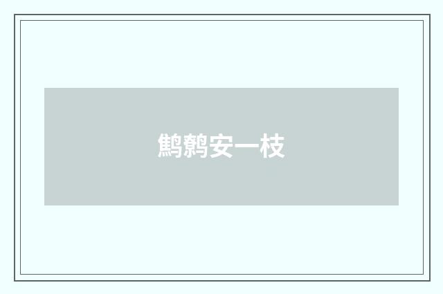 鹪鹩安一枝