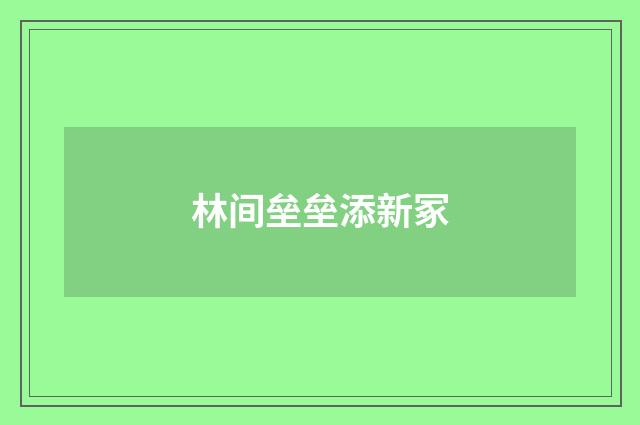 林间垒垒添新冢