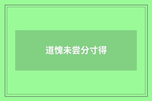 道愧未尝分寸得