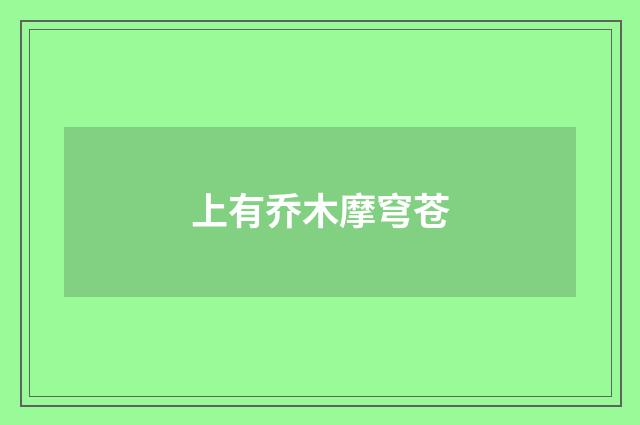 上有乔木摩穹苍