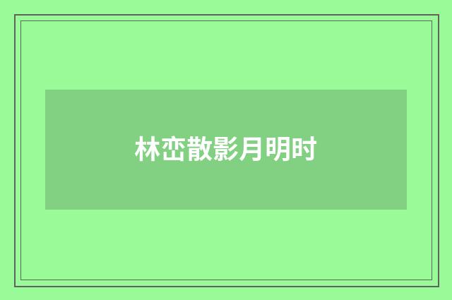 林峦散影月明时