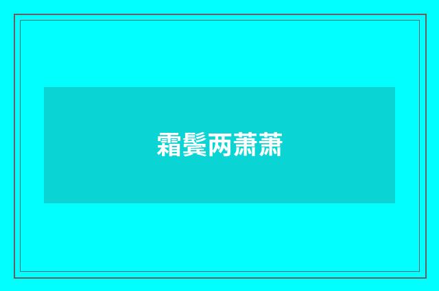 霜鬓两萧萧