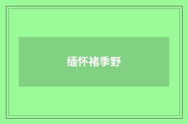 缅怀褚季野