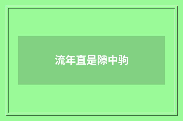 流年直是隙中驹
