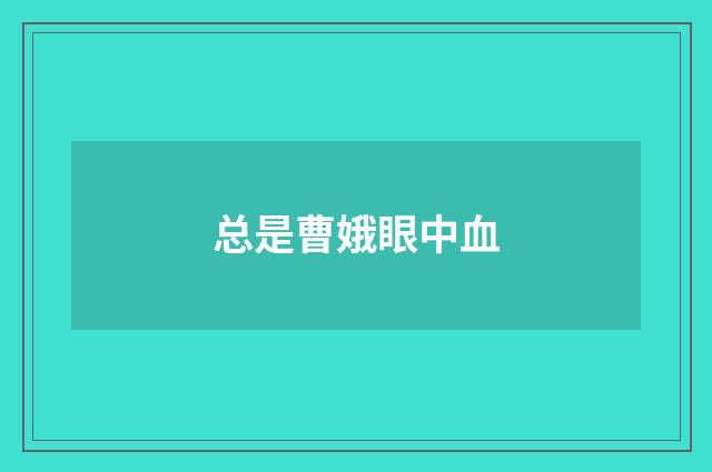 总是曹娥眼中血