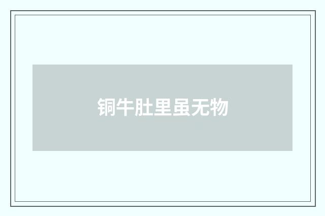 铜牛肚里虽无物