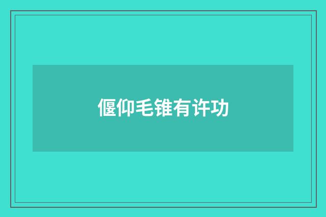 偃仰毛锥有许功