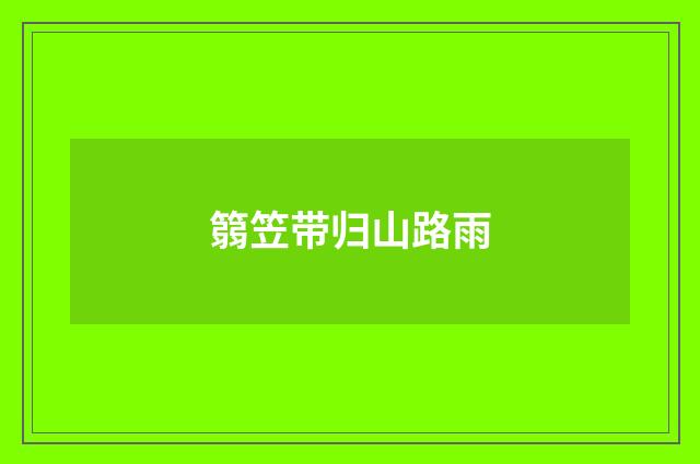 篛笠带归山路雨