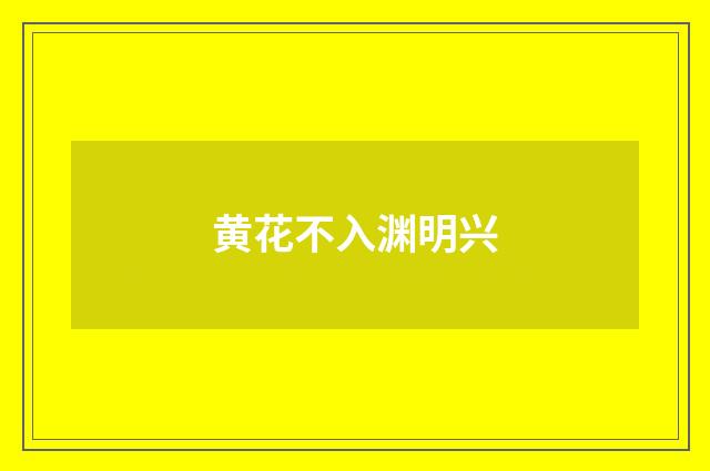 黄花不入渊明兴