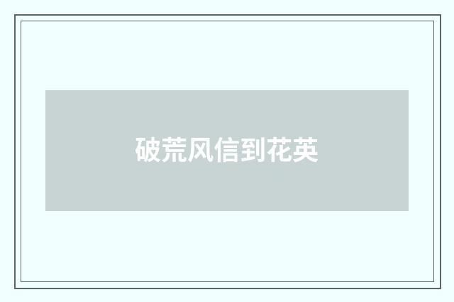 破荒风信到花英