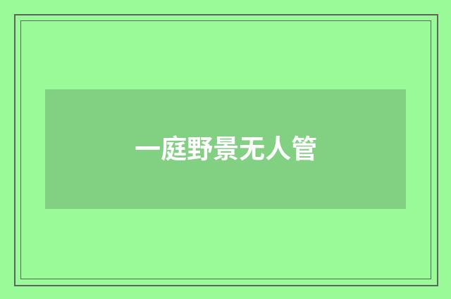 一庭野景无人管
