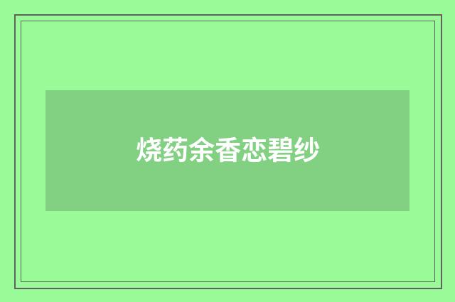 烧药余香恋碧纱
