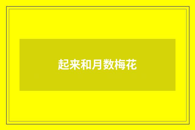 起来和月数梅花