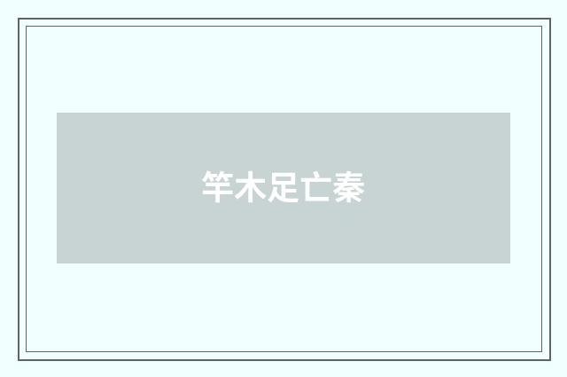 竿木足亡秦