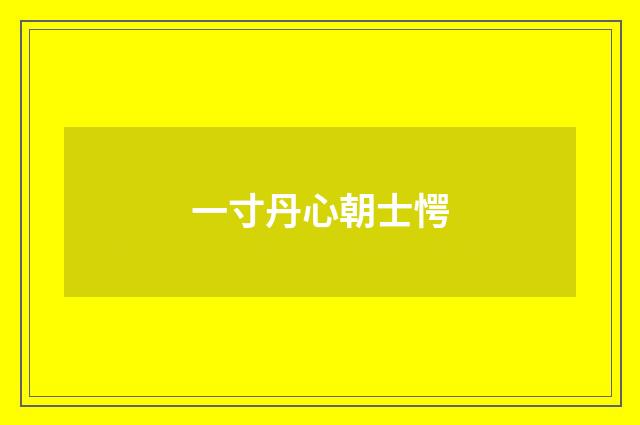 一寸丹心朝士愕