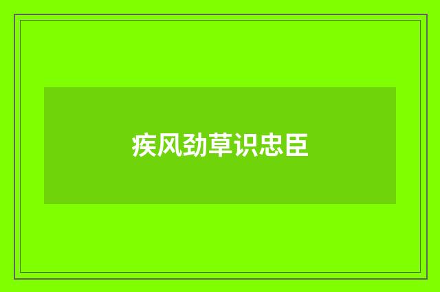 疾风劲草识忠臣