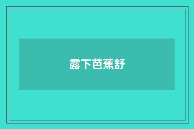露下芭蕉舒