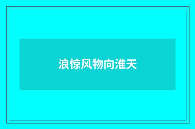 浪惊风物向淮天