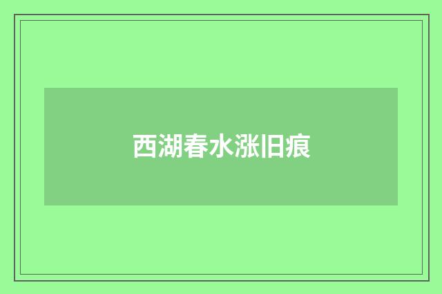 西湖春水涨旧痕