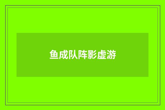鱼成队阵影虚游