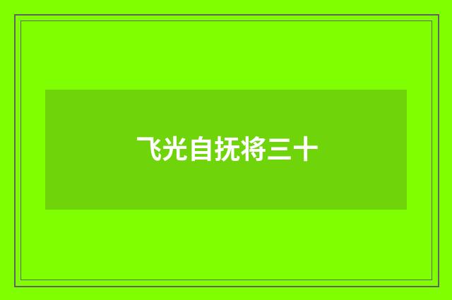 飞光自抚将三十