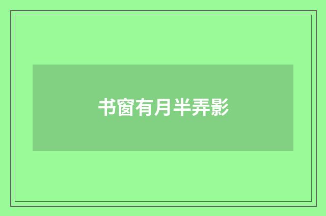 书窗有月半弄影