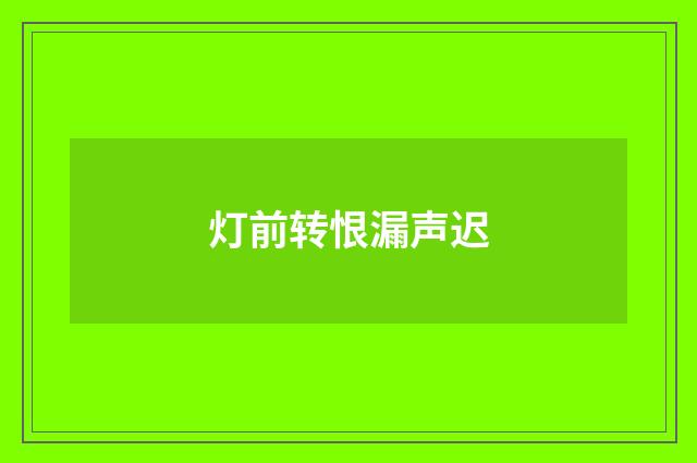 灯前转恨漏声迟