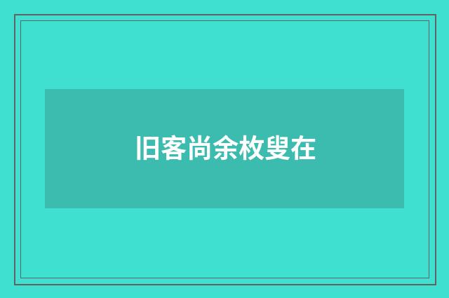 旧客尚余枚叟在
