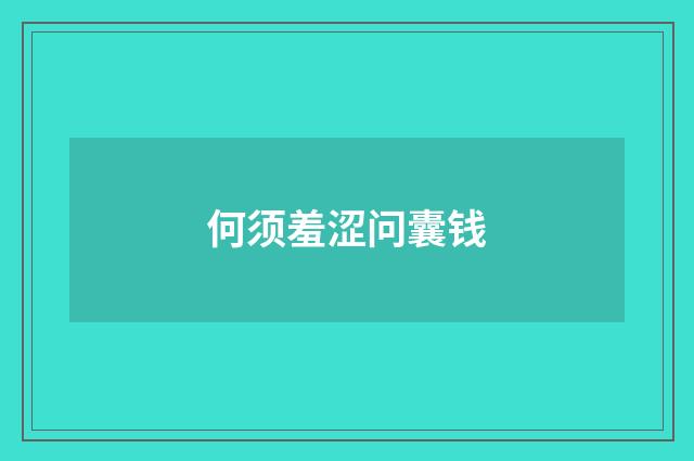 何须羞涩问囊钱