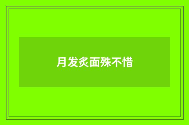 月发炙面殊不惜