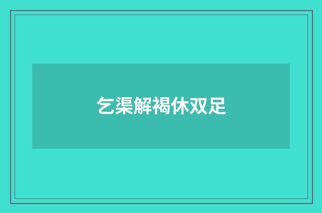 乞渠解褐休双足