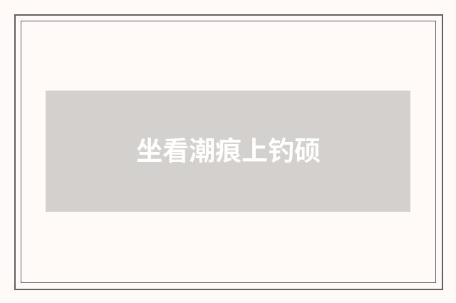 坐看潮痕上钓硕