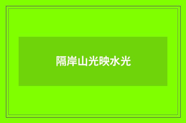 隔岸山光映水光