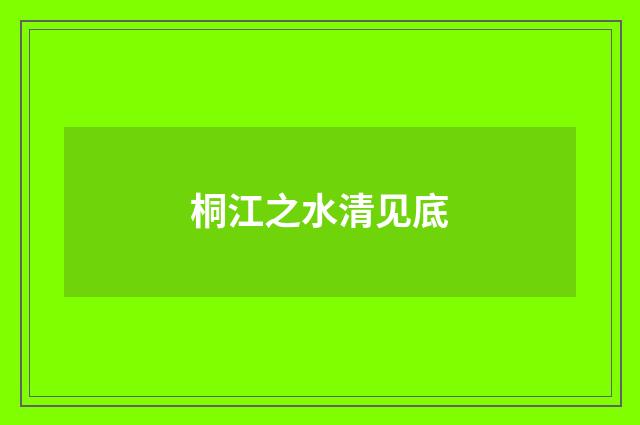 桐江之水清见底